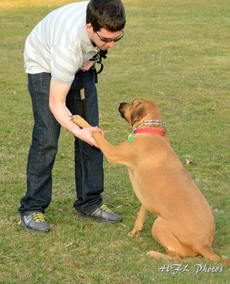 Tatu Shakes Hands with another dog lover