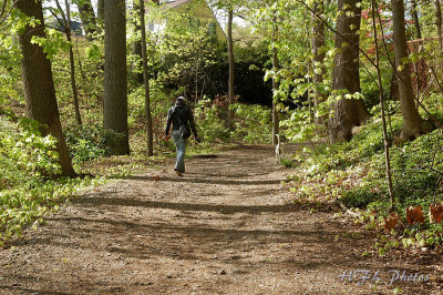 Mill River Pathway
