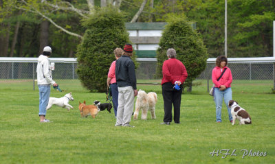 20120504_249 Belle at Rec Field.JPG