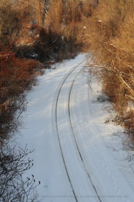 20080105-05-winter tracks.JPG