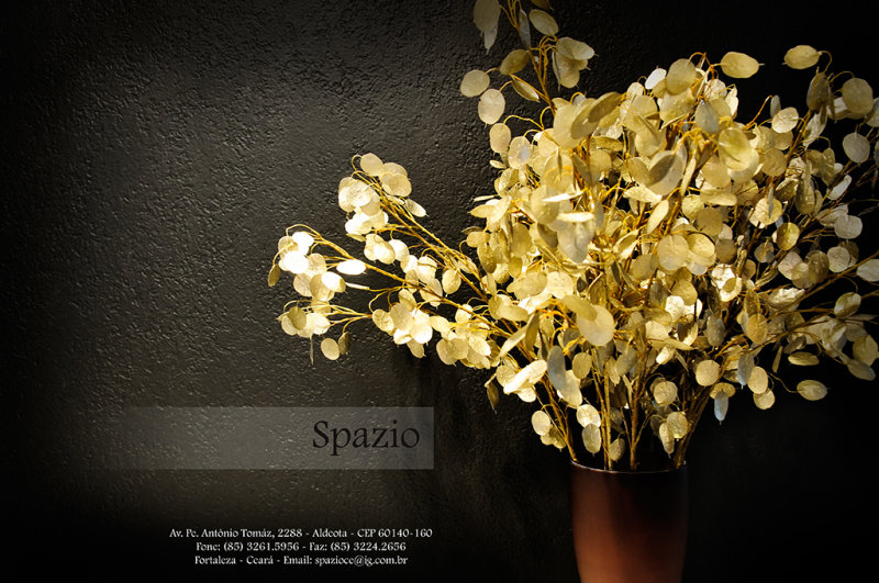 Spazio