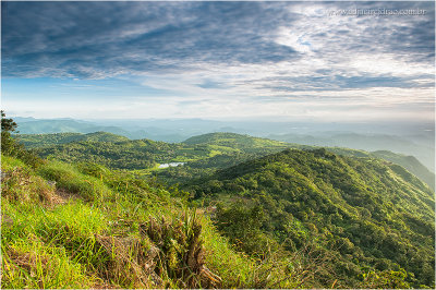 Vista do Pico Alto