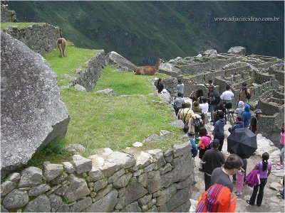 Machu Picchu 18