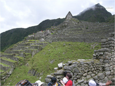 Machu Picchu 19