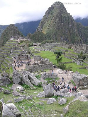 Machu Picchu 21
