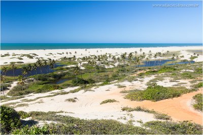 Barra Nova_MG_7253.JPG