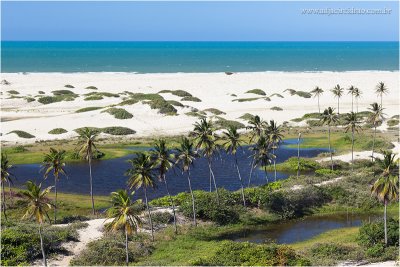 Barra Nova_MG_7260.JPG