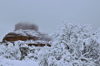 Winter in Arizona