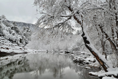 Oak Creek Reflection 1