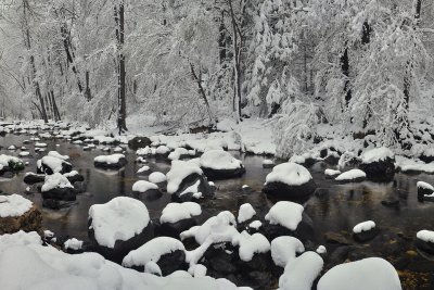 Oak Creek Snowscape 1