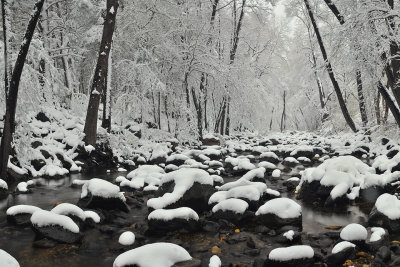 Oak Creek Snowscape 2
