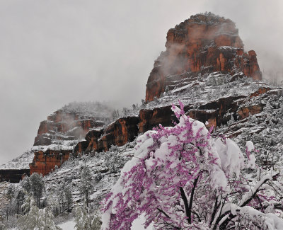 Slide Rock Red Buds 1