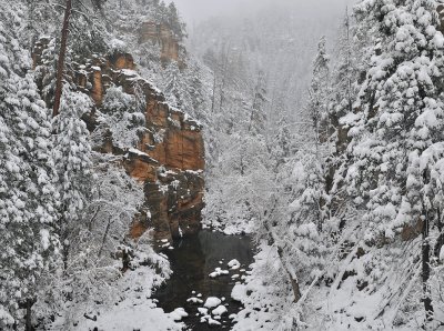 Oak Creek Canyon - Snowfalling