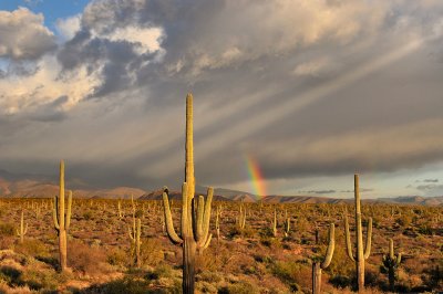 AZ - Four Peaks Wilderness - Rainbow 1