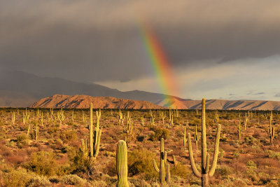 Four Peaks Wilderness - Rainbow 3