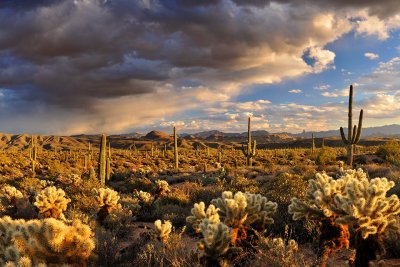 AZ - Four Peaks Wilderness - Stormy Sky 2