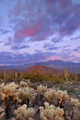 Four Peaks Wilderness - Sunset Colors 3