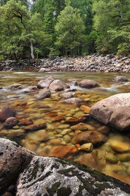 Yosemite NP - Happy Isles Merced River Rapids 5