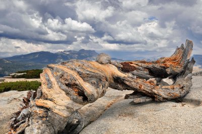 CA - Yosemite NP - Sentinel Dome 4