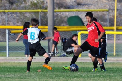 Izzie Dribbles 3.JPG