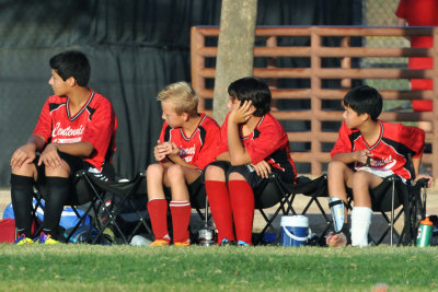 Waiting their Turns.JPG