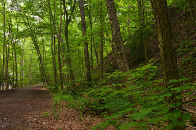 Taughanook Falls State Park - Spring Trail.jpg