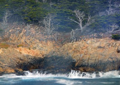 CA - Pt Lobos SP - Rocky Shoreline 3