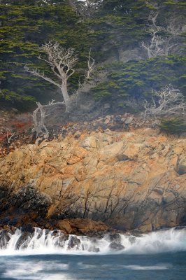 Pt Lobos SP - Rocky Shoreline 4