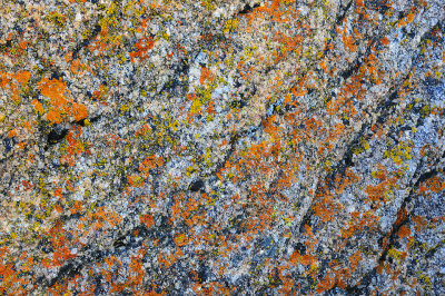 Alabama Hills - Rock Detail