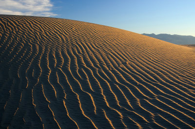 Death Valley NP - Dune Ripples 3