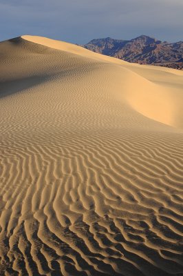 Death Valley NP - Dune Ripples 5