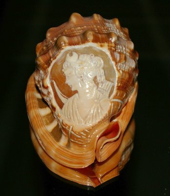 Conch shell sitting on a mirrored chest
