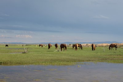 IMG_9110.JPG