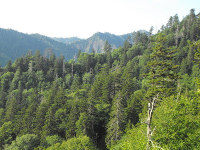 North Carolina Smoky Mountains National Park