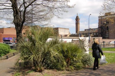 Exotic Plants in London