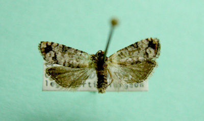 M not ID-35