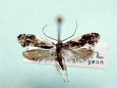 M not ID-67.jpg