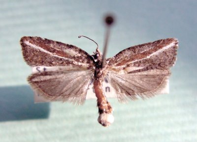 M not ID-84.jpg