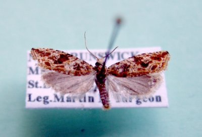 M not ID-86.jpg