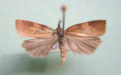 M not ID-91.jpg
