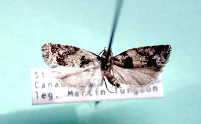 M not ID-92.jpg