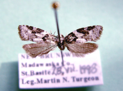 M not ID-93.jpg
