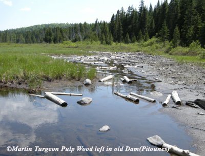 Old Drive Dam 