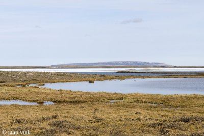 Tundra with lakes - Toendra met meren