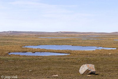 Tundra with lakes - Toendra met meren