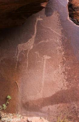 Bushman Rock Engravings - Bosjesman Rotstekeningen