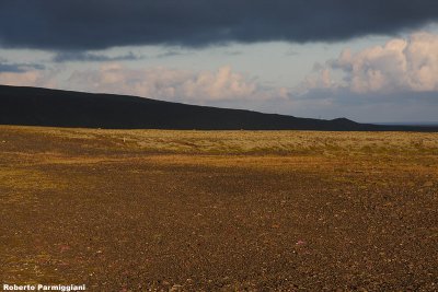 South of  Iceland