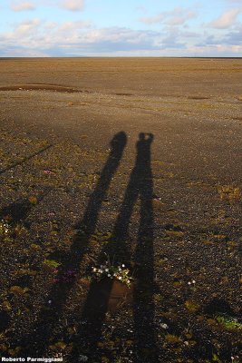 Shadows on the sand