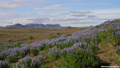 North Of Iceland