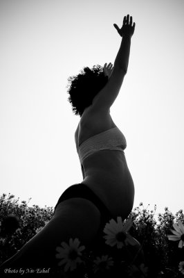 DSC_0063.jpg